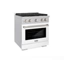 30 in. 4.2 cu. ft. Paramount Dual Fuel Range with 4 Burner Gas Cooktop view 1