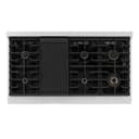 Autograph Edition 48 in. 6.7 cu. ft. Paramount Double Oven Dual Fuel Range with 8 Burner Gas Cooktop view 10