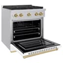 Autograph Edition 30 in. 4.2 cu. ft. Paramount Dual Fuel Range with 4 Burner Gas Cooktop view 6