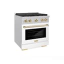 Autograph Edition 30 in. 4.2 cu. ft. Paramount Dual Fuel Range with 4 Burner Gas Cooktop view 1