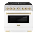 Autograph Edition 36 in. 5.2 cu. ft. Paramount Dual Fuel Range with 6 Burner Gas Cooktop view 3
