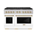 Autograph Edition 48 in. 6.7 cu. ft. Paramount Double Oven Dual Fuel Range with 8 Burner Gas Cooktop view 4