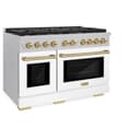Autograph Edition 48 in. 6.7 cu. ft. Paramount Double Oven Dual Fuel Range with 8 Burner Gas Cooktop view 5