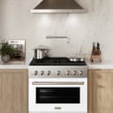 36 in. 5.2 cu. ft. Paramount Dual Fuel Range with 6 Burner Gas Cooktop view 13