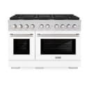 48 in. 6.7 cu. ft. Paramount Double Oven Dual Fuel Range with 8 Burner Gas Cooktop view 6