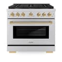 Autograph Edition 36 in. 5.2 cu. ft. Paramount Dual Fuel Range with 6 Burner Gas Cooktop view 5