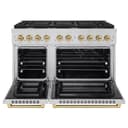 Autograph Edition 48 in. 6.7 cu. ft. Paramount Double Oven Dual Fuel Range with 8 Burner Gas Cooktop view 4