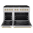 Autograph Edition 48 in. 6.7 cu. ft. Paramount Double Oven Dual Fuel Range with 8 Burner Gas Cooktop view 4