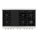 Autograph Edition 48 in. 6.7 cu. ft. Paramount Double Oven Dual Fuel Range with 8 Burner Gas Cooktop view 6