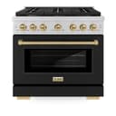 Autograph Edition 36 in. 5.2 cu. ft. Paramount Dual Fuel Range with 6 Burner Gas Cooktop and Electric Convection Oven view 5