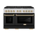 Autograph Edition 48 in. 6.7 cu. ft. Paramount Double Oven Dual Fuel Range with 8 Burner Gas Cooktop view 5