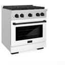 Autograph Edition 30 in. 4.2 cu. ft. Paramount Dual Fuel Range with 4 Burner Gas Cooktop view 3