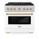 Autograph Edition 36 in. 5.2 cu. ft. Paramount Dual Fuel Range with 6 Burner Gas Cooktop view 5