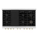 Autograph Edition 48 in. 6.7 cu. ft. Paramount Double Oven Dual Fuel Range with 8 Burner Gas Cooktop view 4