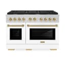Autograph Edition 48 in. 6.7 cu. ft. Paramount Double Oven Dual Fuel Range with 8 Burner Gas Cooktop view 5