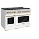 Autograph Edition 48 in. 6.7 cu. ft. Paramount Double Oven Dual Fuel Range with 8 Burner Gas Cooktop view 3