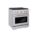 30in. 4.2 cu. ft. 4 Burner Gas Range with Convection Gas Oven in Stainless Steel view 1