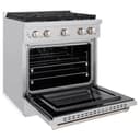 30in. 4.2 cu. ft. 4 Burner Gas Range with Convection Gas Oven in Stainless Steel view 5