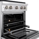 30in. 4.2 cu. ft. 4 Burner Gas Range with Convection Gas Oven in Stainless Steel view 6
