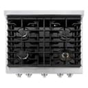 30in. 4.2 cu. ft. 4 Burner Gas Range with Convection Gas Oven in Stainless Steel view 7