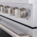 30in. 4.2 cu. ft. 4 Burner Gas Range with Convection Gas Oven in Stainless Steel view 9