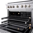 36 In. 5.2 Cu. Ft. Paramount Gas Range With 6 Burner Cooktop And Convection Gas Oven In Stainless Steel view 14