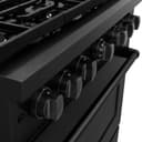 36in. 5.2 cu. ft. 6 Burner Gas Range with Convection Gas Oven in Black Stainless Steel view 7
