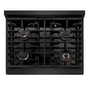 30in. 4.2 cu. ft. Gas Range with Convection Gas Oven in Black Stainless Steel with 4 Brass Burners view 1