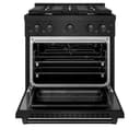 30in. 4.2 cu. ft. Gas Range with Convection Gas Oven in Black Stainless Steel with 4 Brass Burners view 4