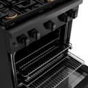 30in. 4.2 cu. ft. Gas Range with Convection Gas Oven in Black Stainless Steel with 4 Brass Burners view 5