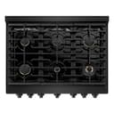 36in. 5.2 cu. ft. Gas Range with Convection Gas Oven in Black Stainless Steel with 6 Brass Burners view 4