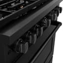36in. 5.2 cu. ft. Gas Range with Convection Gas Oven in Black Stainless Steel with 6 Brass Burners view 6