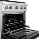 30in. 4.2 cu. ft. 4 Burner Gas Range with Convection Gas Oven in Stainless Steel with Black Matte Door view 8