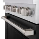 30in. 4.2 cu. ft. 4 Burner Gas Range with Convection Gas Oven in Stainless Steel with Black Matte Door view 9
