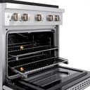30in. 4.2 cu. ft. Gas Range with Convection Gas Oven in Stainless Steel with 4 Brass Burners view 8