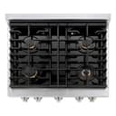 30in. 4.2 cu. ft. Gas Range with Convection Gas Oven in Stainless Steel with 4 Brass Burners view 9