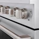 30in. 4.2 cu. ft. Gas Range with Convection Gas Oven in Stainless Steel with 4 Brass Burners view 11