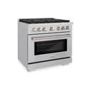 36in. 5.2 cu. ft. Gas Range with Convection Gas Oven in Stainless Steel with 6 Brass Burners view 1