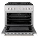 36in. 5.2 cu. ft. Gas Range with Convection Gas Oven in Stainless Steel with 6 Brass Burners view 7
