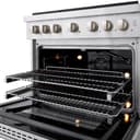 36in. 5.2 cu. ft. Gas Range with Convection Gas Oven in Stainless Steel with 6 Brass Burners view 13