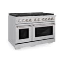 48in. 6.7 cu. ft. Double Oven Gas Range in Stainless Steel with 8 Brass Burners view 1