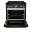 AutographEdition 30 in. 4.2 cu. ft. 4 Burner Gas Range with Convection Gas Oven in Black Stainless Steel and Polished Gold Accents view 5
