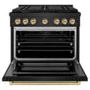 AutographEdition 36 in. 5.2 cu. ft. 6 Burner Gas Range with Convection Gas Oven in Black Stainless Steel and Champagne Bronze Accents view 5