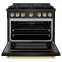 AutographEdition 36 in. 5.2 cu. ft. 6 Burner Gas Range with Convection Gas Oven in Black Stainless Steel and Polished Gold Accents view 5