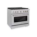 36in. 5.2 cu. ft. 6 Burner Gas Range with Convection Gas Oven in DuraSnow Stainless Steel view 1