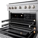 36in. 5.2 cu. ft. 6 Burner Gas Range with Convection Gas Oven in DuraSnow Stainless Steel view 9