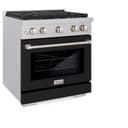 30in. 4.2 cu. ft. 4 Burner Gas Range with Convection Gas Oven in DuraSnow Stainless Steel with Black Matte Door view 5