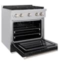 30in. 4.2 cu. ft. 4 Burner Gas Range with Convection Gas Oven in DuraSnow Stainless Steel with Black Matte Door view 6