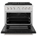 36in. 5.2 cu. ft. 6 Burner Gas Range with Convection Gas Oven in DuraSnow Stainless Steel with Black Matte Door view 3