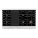 48in. 6.7 cu. ft. Double Oven Gas Range in DuraSnow Stainless Steel with 8 Brass Burners view 12